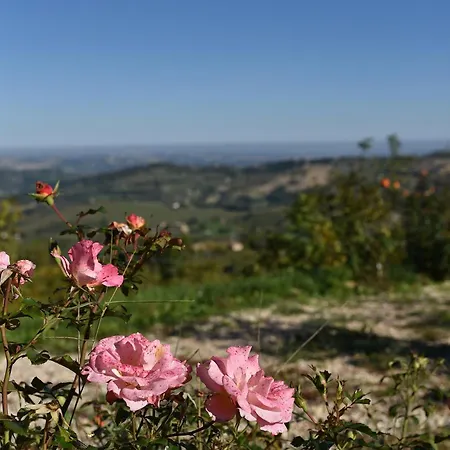 Vila Refugium Veritas - Entire With Pool