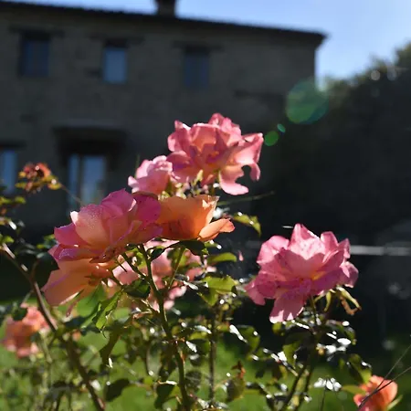 Refugium Veritas - Entire With Pool Vila Cupramontana