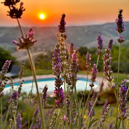 Vila Refugium Veritas - Entire With Pool