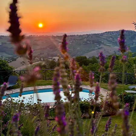 Refugium Veritas - Entire With Pool