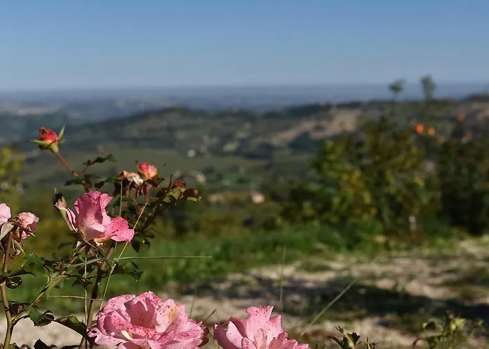 Βίλα Refugium Veritas - Entire With Pool
