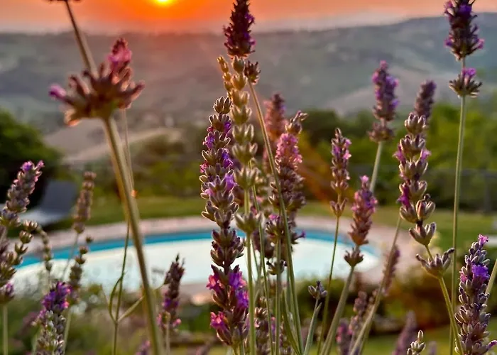 Βίλα Refugium Veritas - Entire With Pool